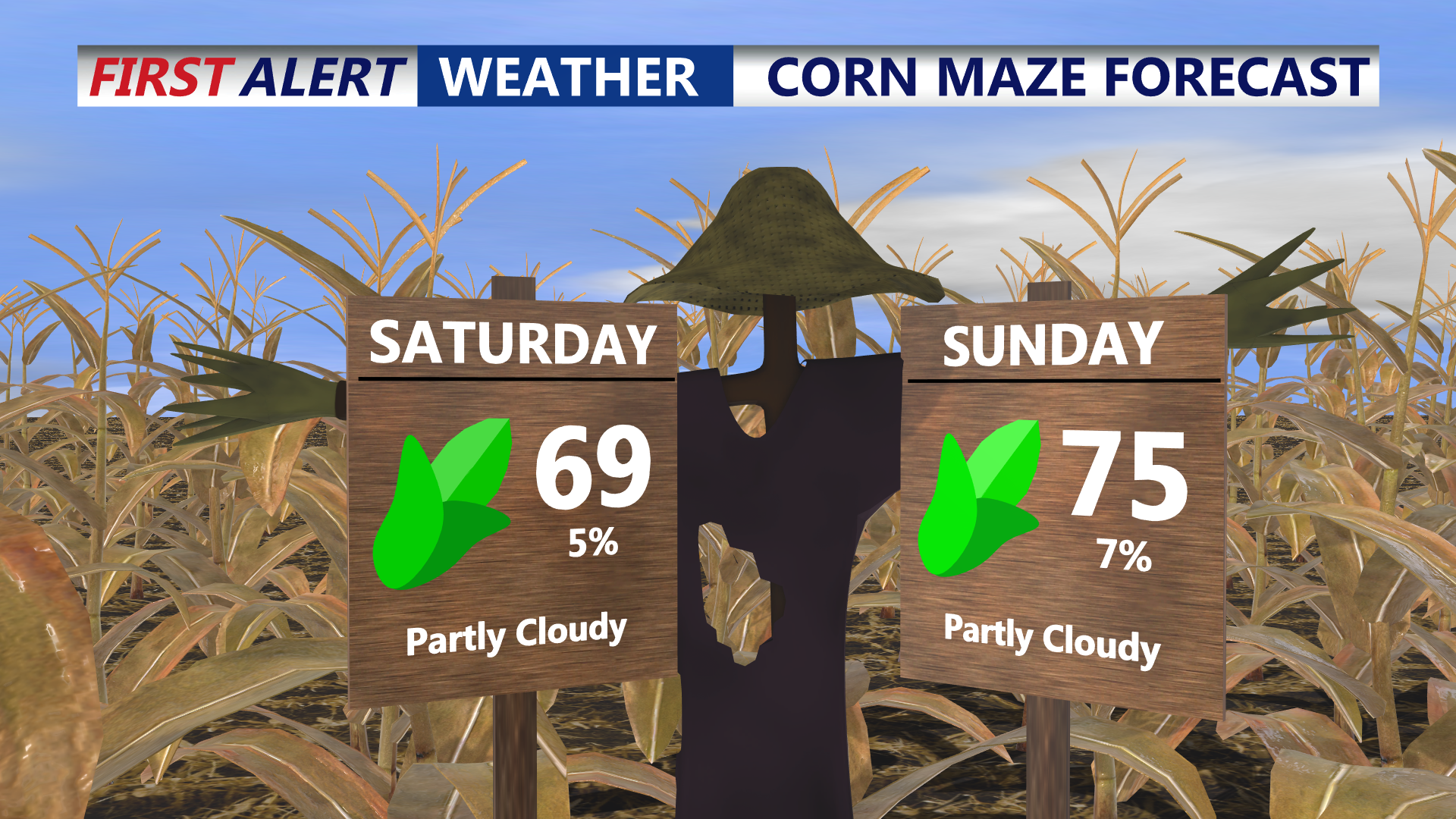 Corn Maze Forecast